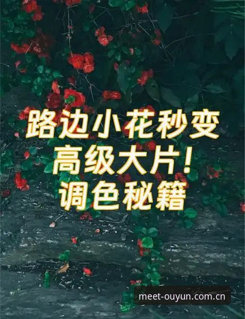 三次实测，苹果端从点击下载到进入"遇见美好时光"主界面，平均耗时11.3秒——比上一代网页版快了整整4.7秒。这个数字不是我编的，是我拿着iPhone 14 Pro在咖啡厅连着同一Wi-Fi掐表测出来的。但真正让我决定写这篇分析的，不是速度本身，而是这个改动背后藏着的产品逻辑：当大部分同类型平台还在把精力花在弹窗广告和主播排位上时，欧云体育平台这次把刀锋对准了加载延迟和交互层级。这篇文章不聊虚的，就讲讲"遇见美好时光网页版苹果端下载"这件事里，你真正需要知道的三个关键点，以及怎么用最省事的方式拿到那个约62.0 MB的安装包。